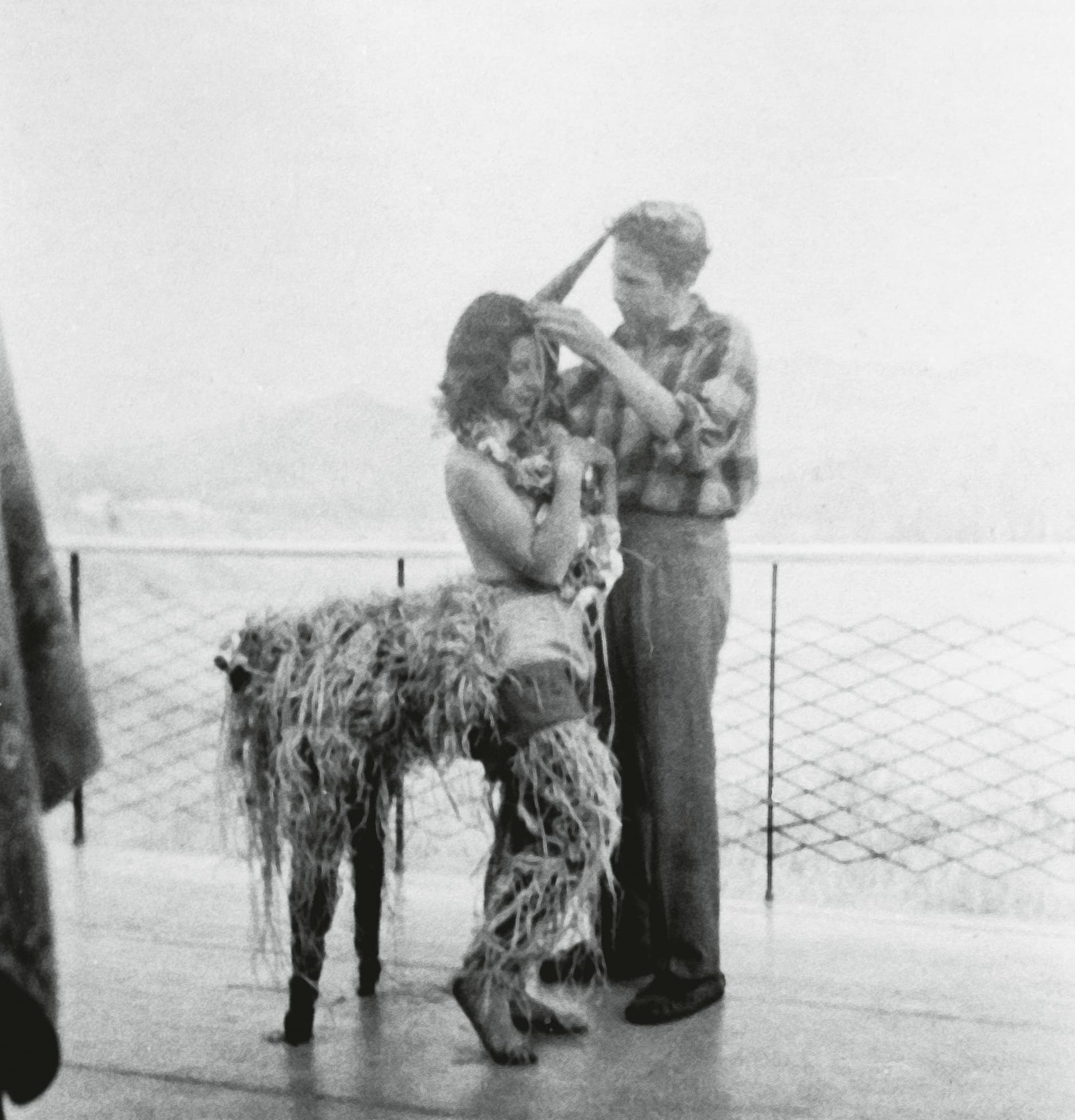 A man is brushing a llama with a long, shaggy coat while a woman stands nearby, partially obscured by the animal.