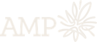 AMP