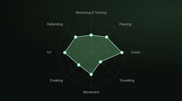 Data visualisation app for football player annual review.