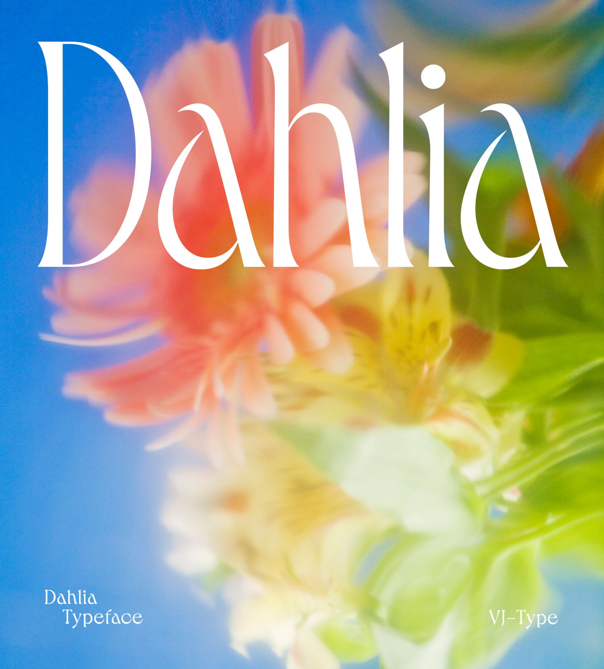 Dahlia Typeface