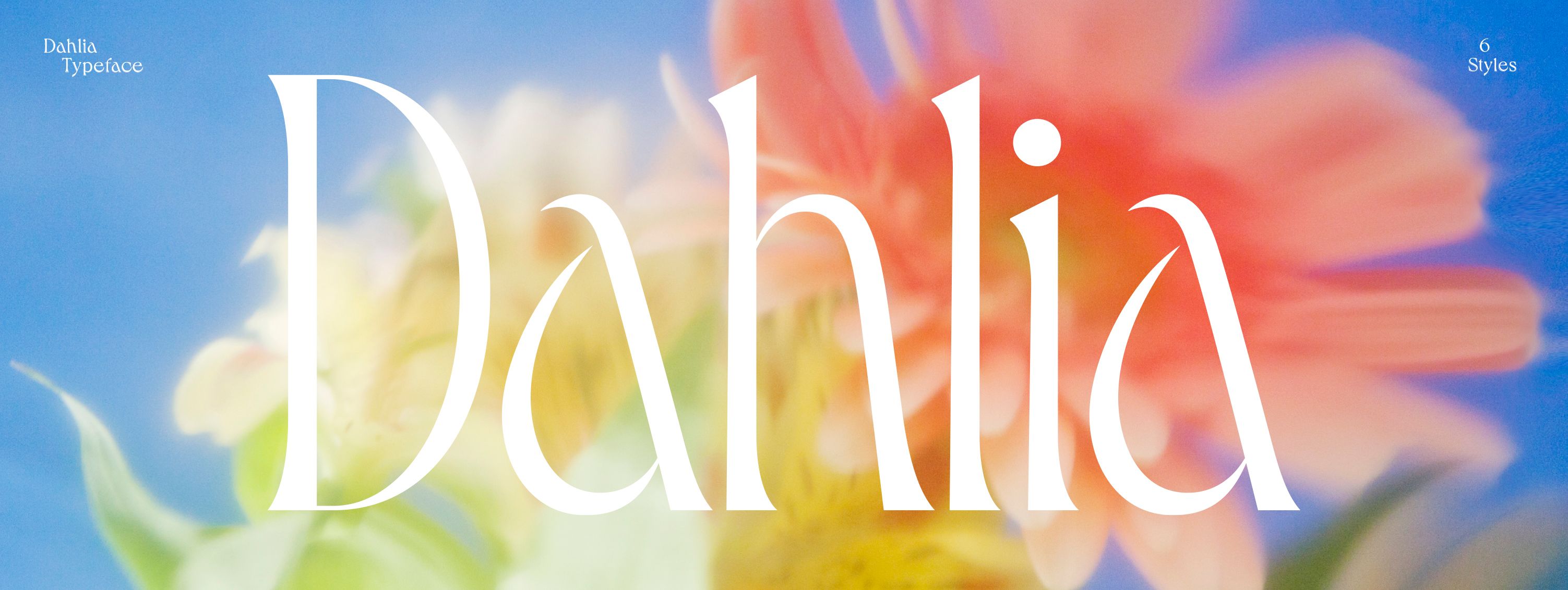 Dahlia Typeface