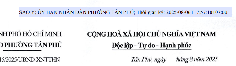 Thông tin thể hiện chữ ký số đơn giản