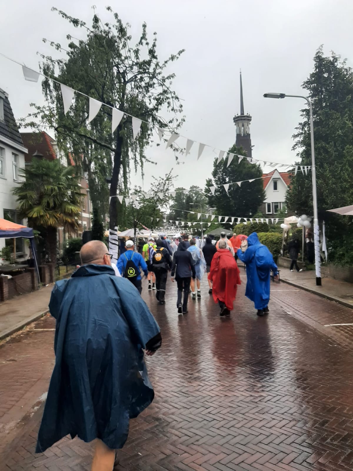 4Daagse | Dag van de 7 heuvels - foto 6