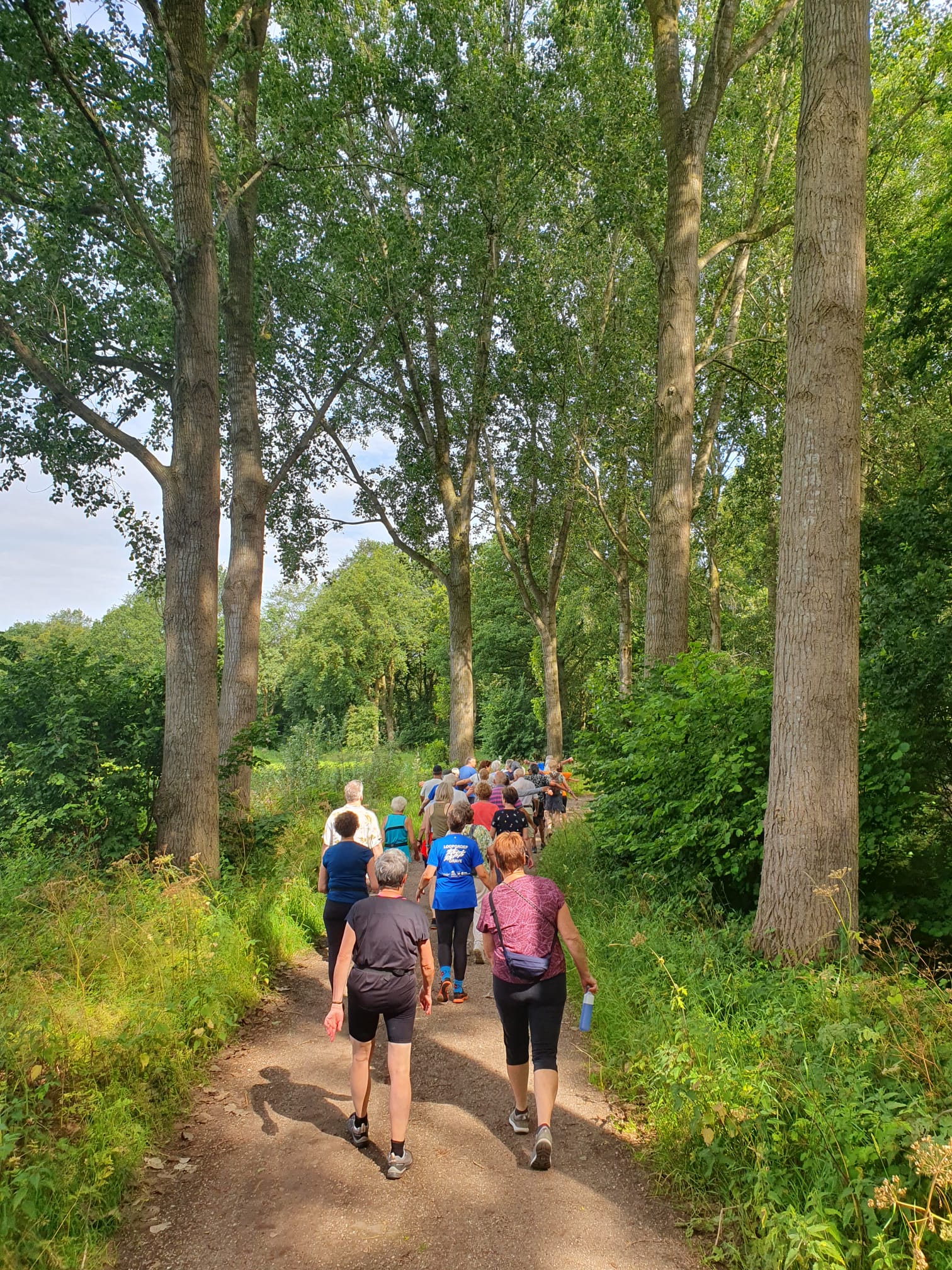 Succesvolle start van de wandelgroep van Loopgroep Grave - foto 2