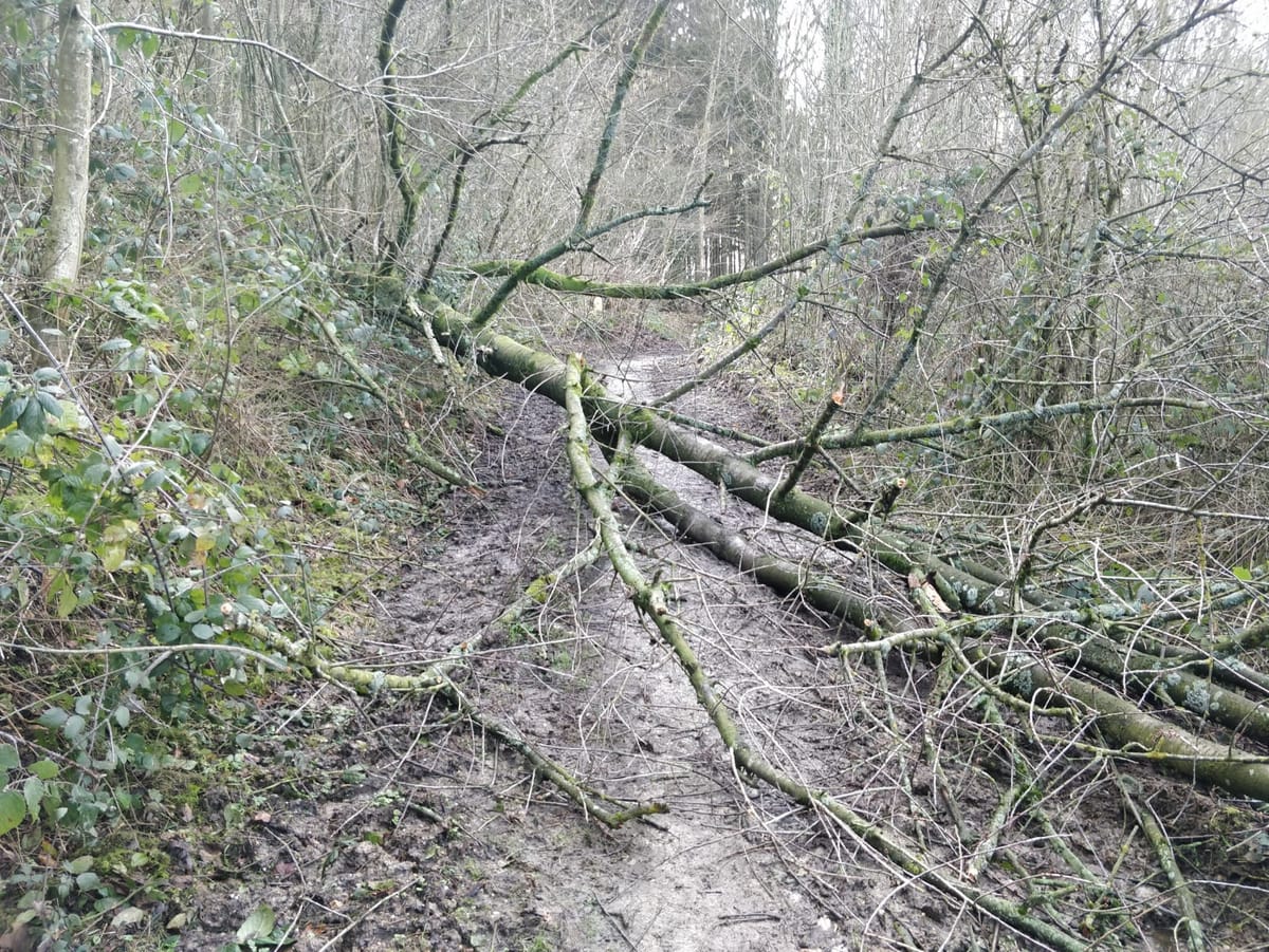 Sjravele door Limburg - foto 3
