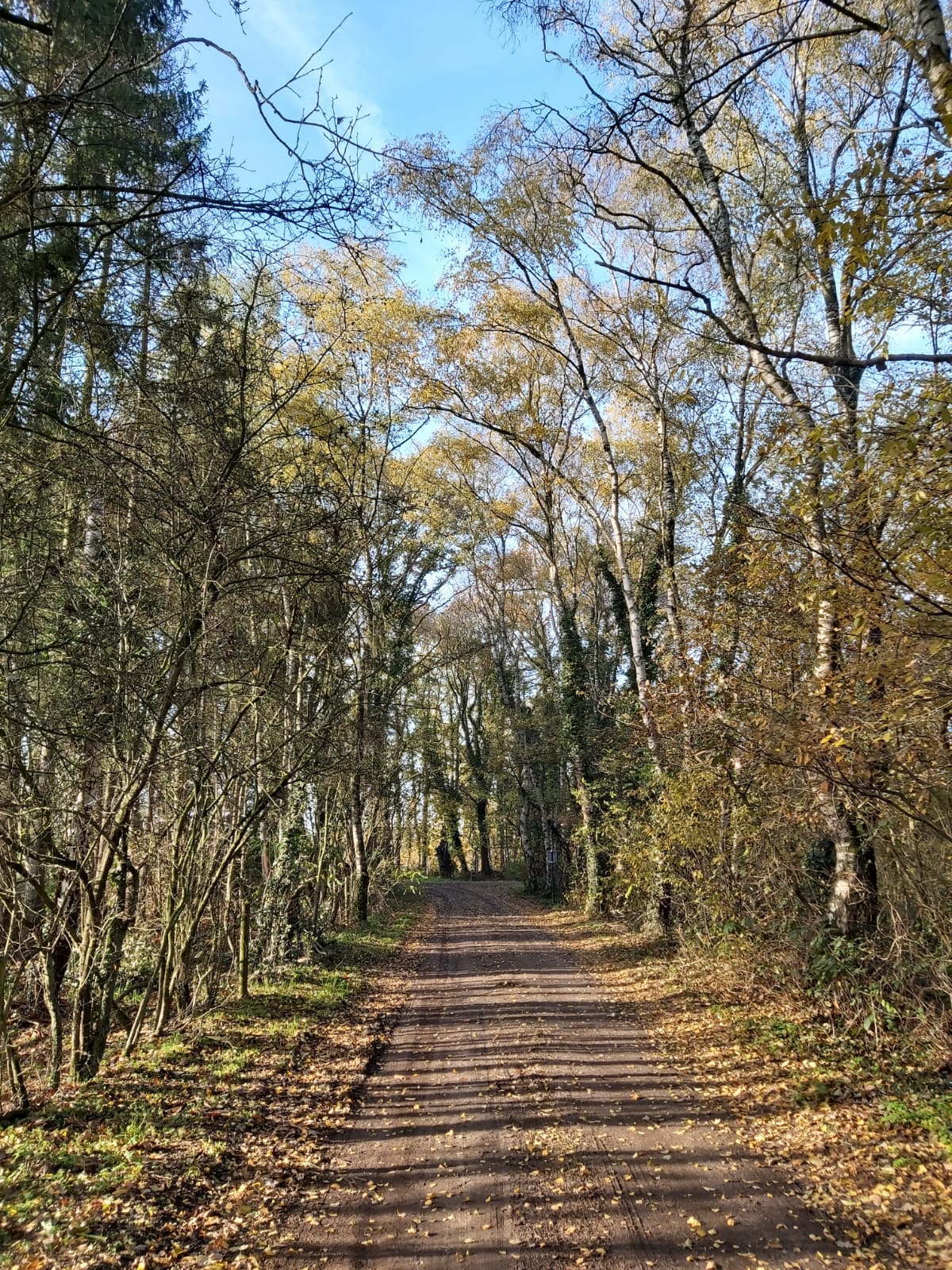 Route: De Broekse Wielen