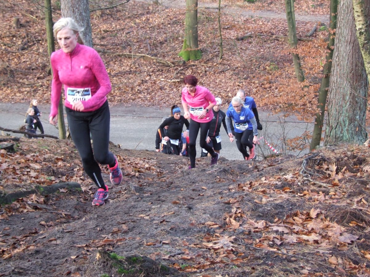 Wisenttrail 2019: rennend het oude jaar uit - foto 7