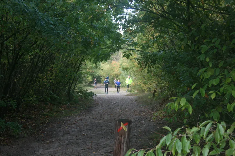 Hardlopers in de bossen van Gassel