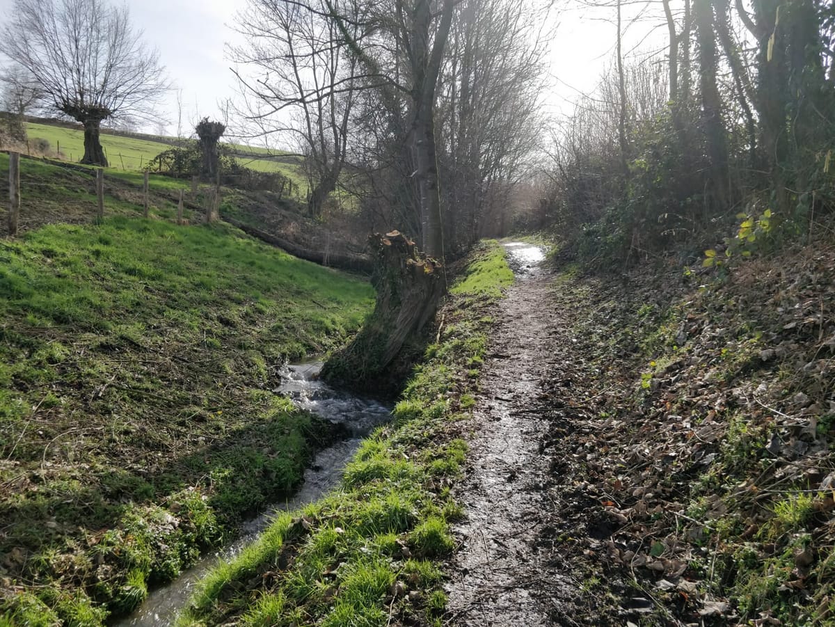 Sjravele door Limburg