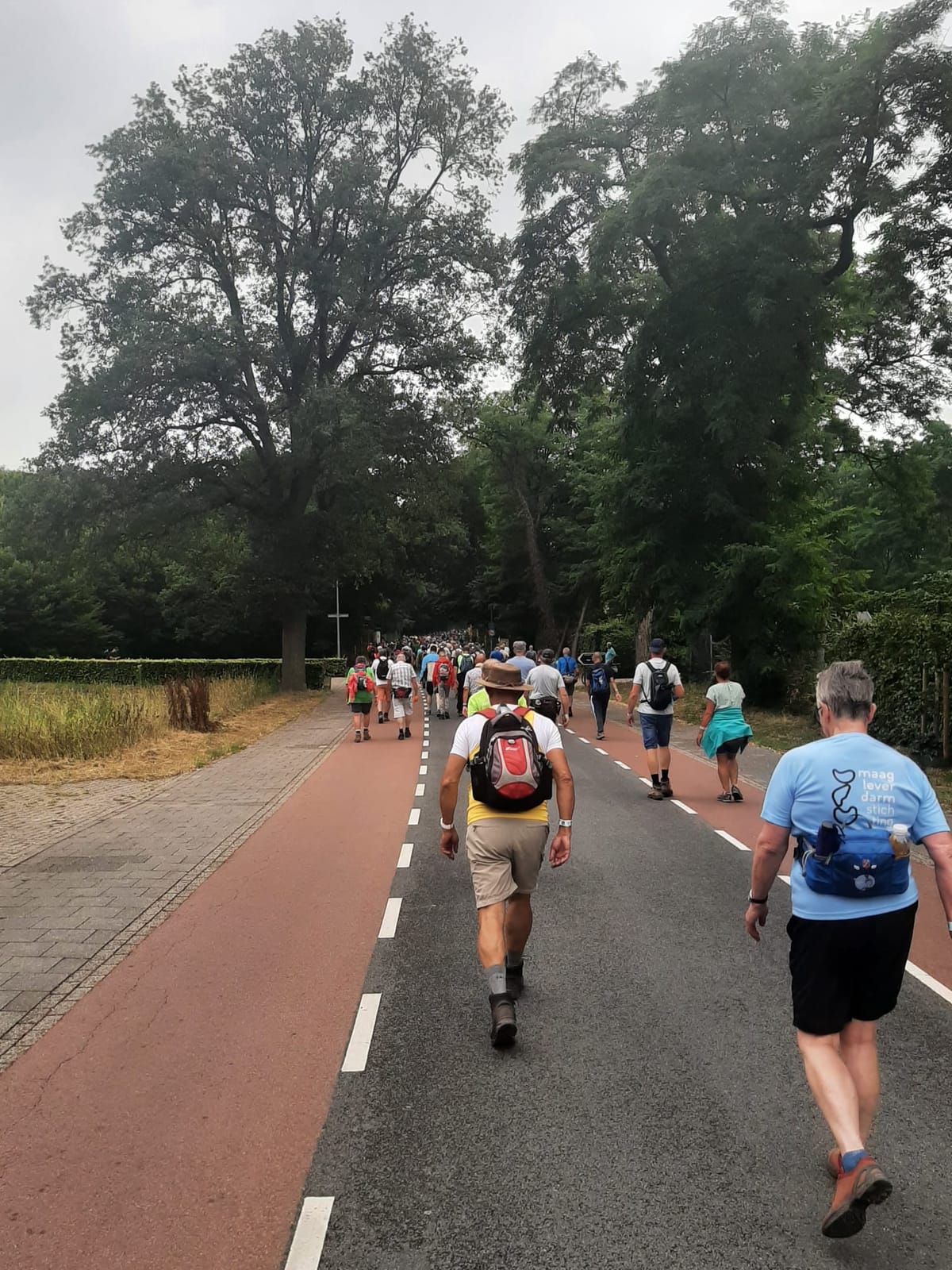 4Daagse | Dag van de 7 heuvels