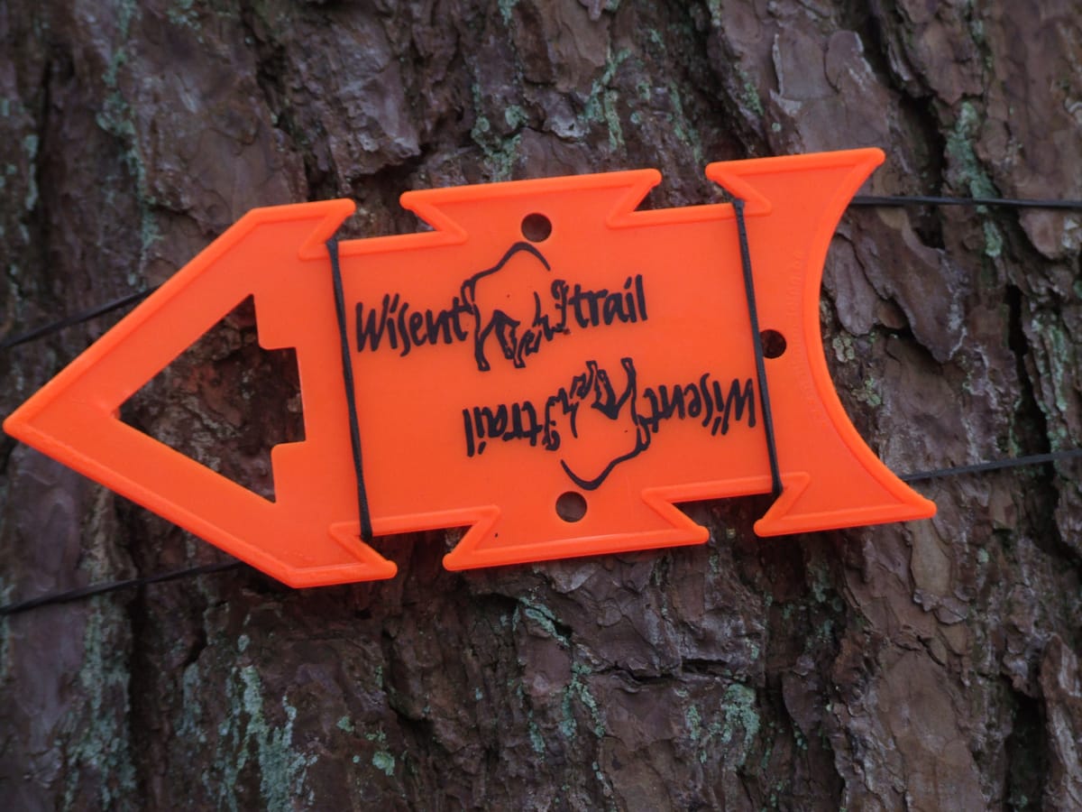Wisenttrail 2019: rennend het oude jaar uit - foto 9