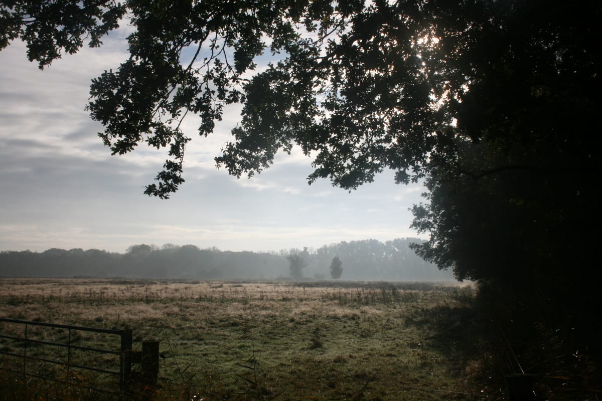 De halve van Grave