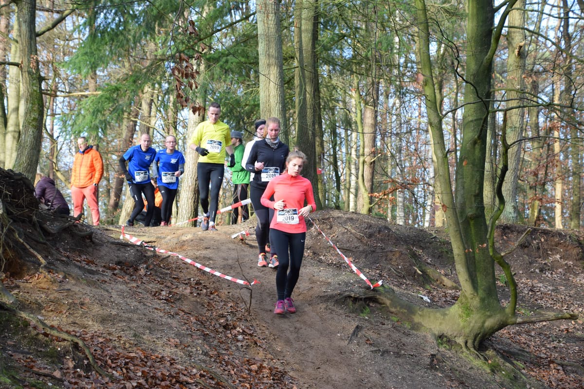 Wisenttrail 2019: rennend het oude jaar uit - foto 10