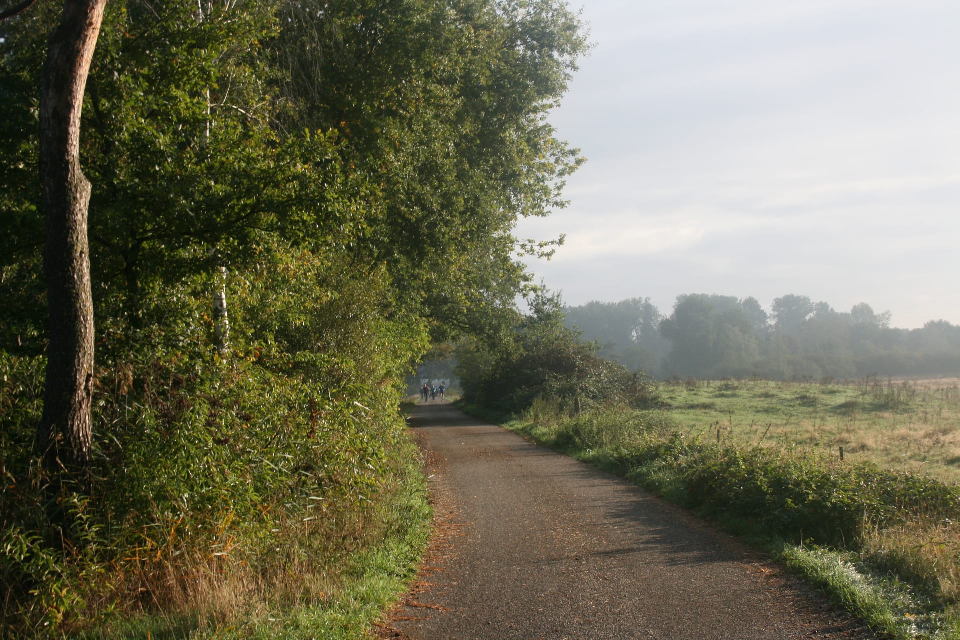 Halve van Grave