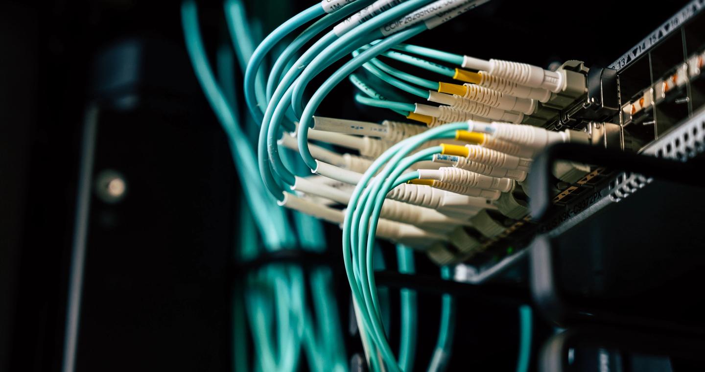 Rows of cables plugged into network equipment.