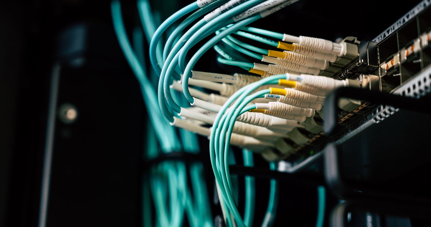 Rows of cables plugged into network equipment.