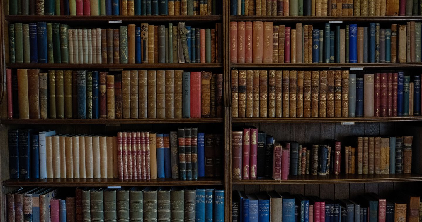 Old books arranged on wooden library shelves.