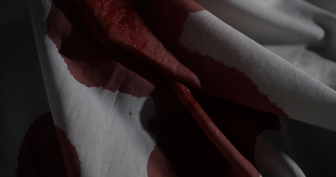 Studie: Haut & Blut