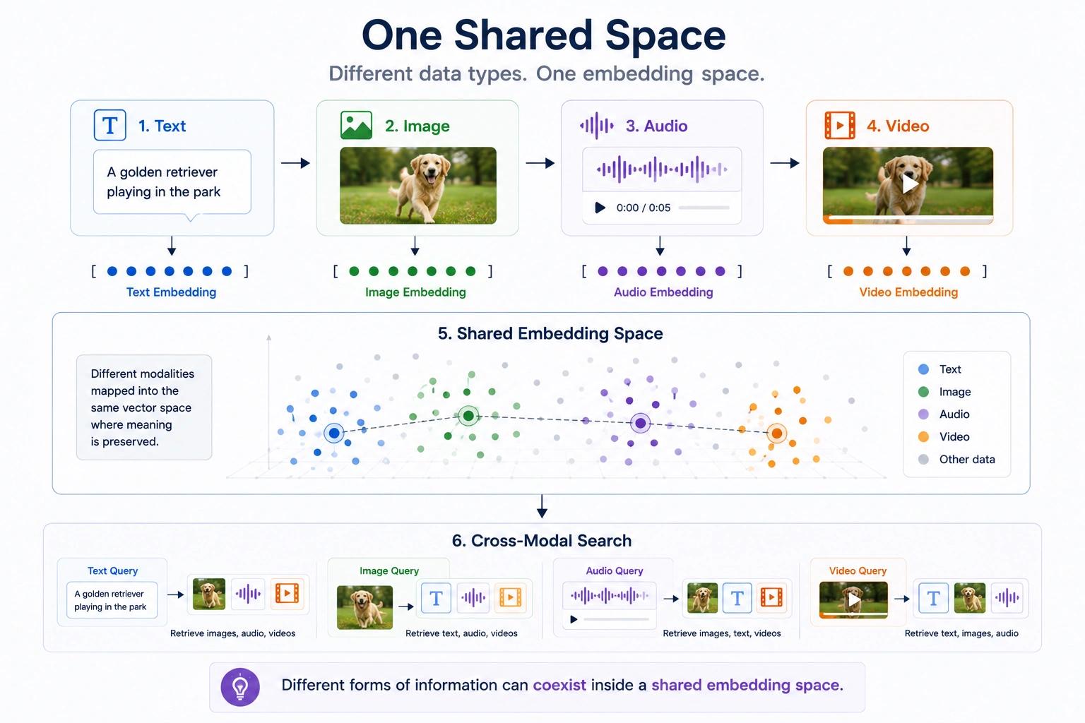 One Shared Embedding Space
