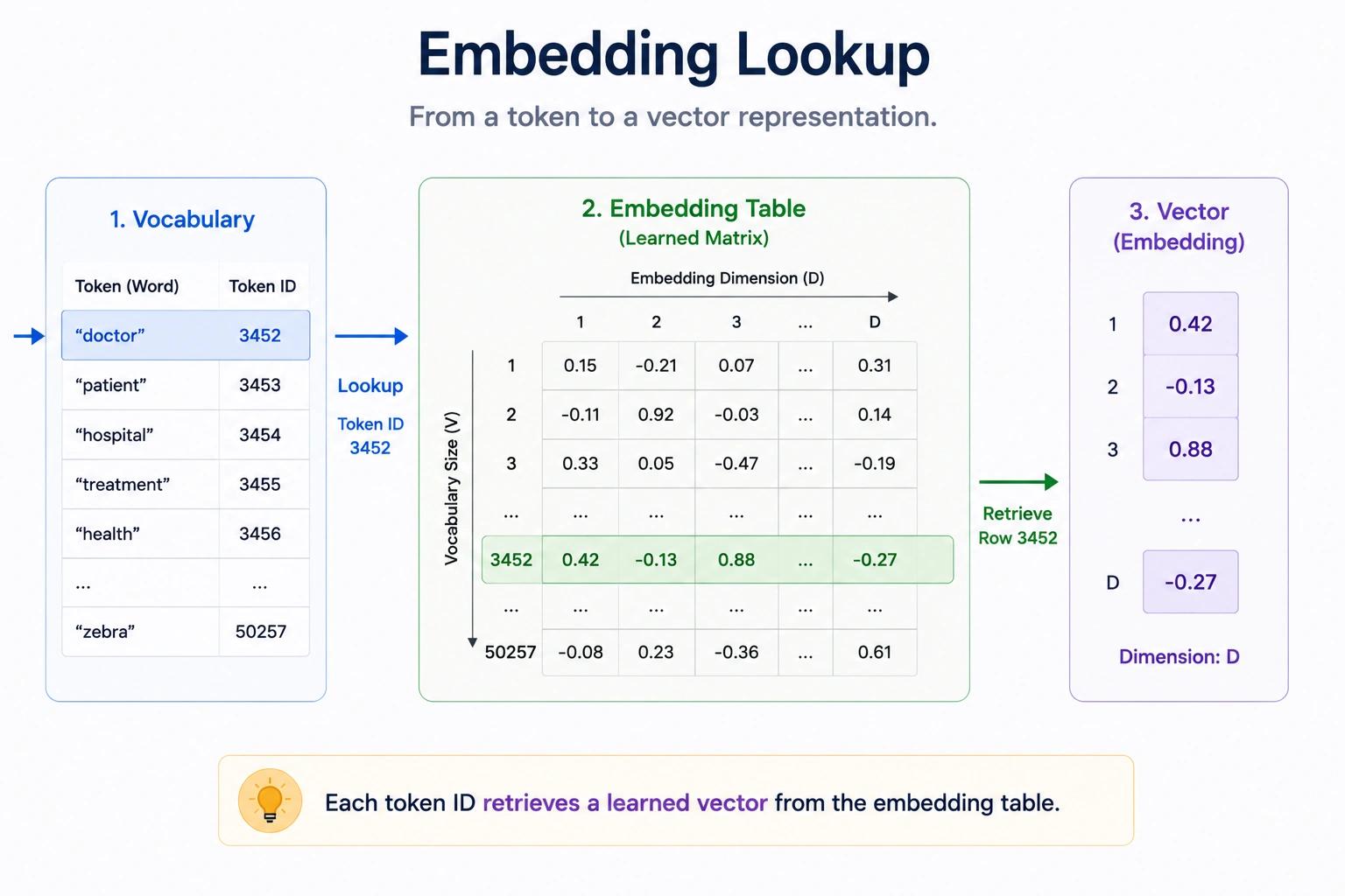 Embedding Lookup