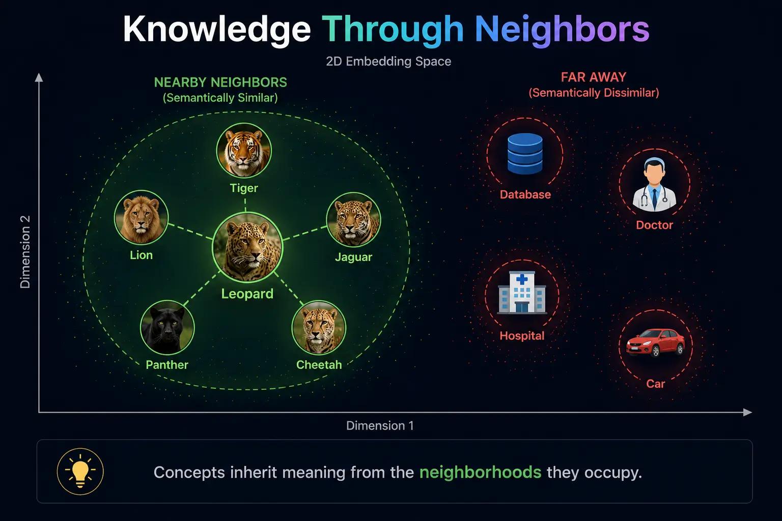 Neighbors in Embeddings