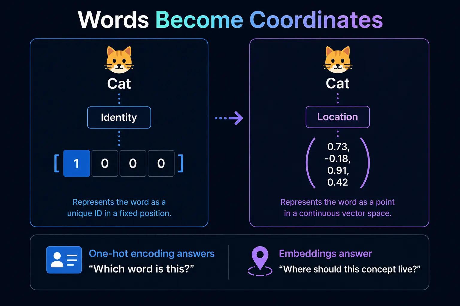 Number to Embedding