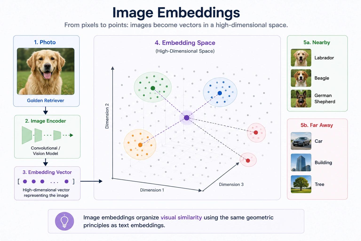Image Embeddings via Computer Vision