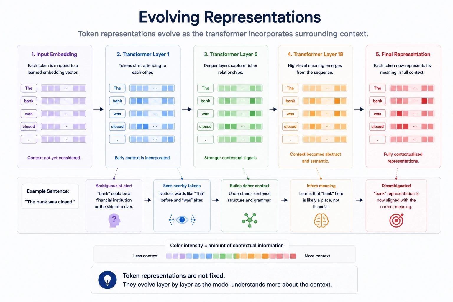 Evolving Representation of Embeddings