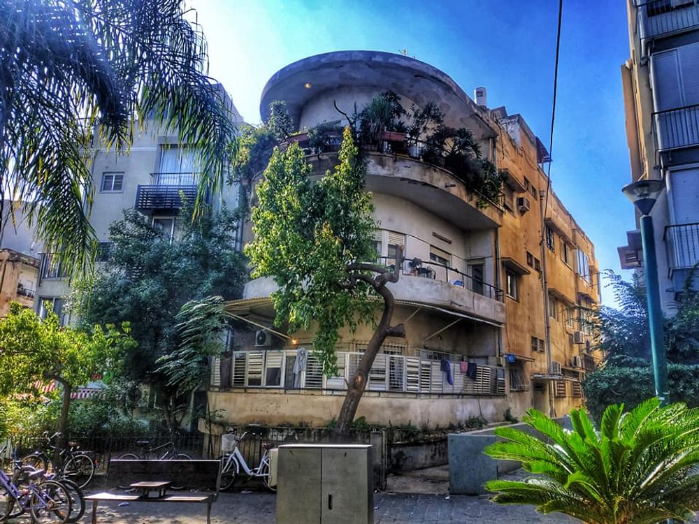 בוגרשוב 80