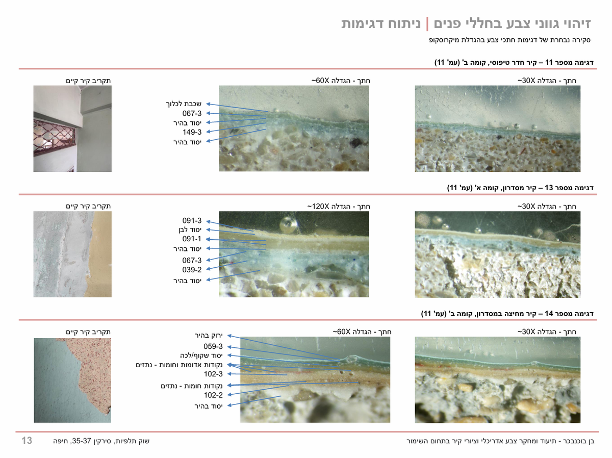ניתוח דגימות טיח וצבע פנים