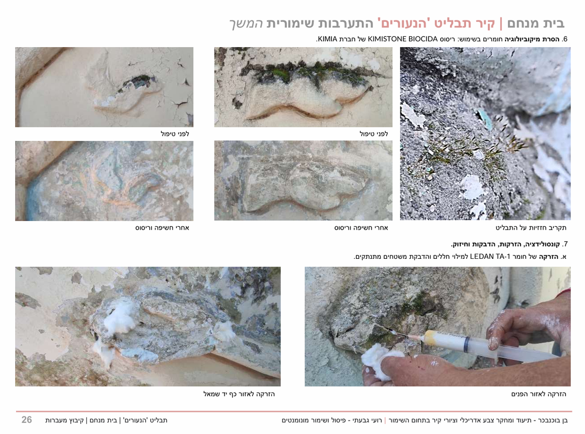 התערבות שימורית