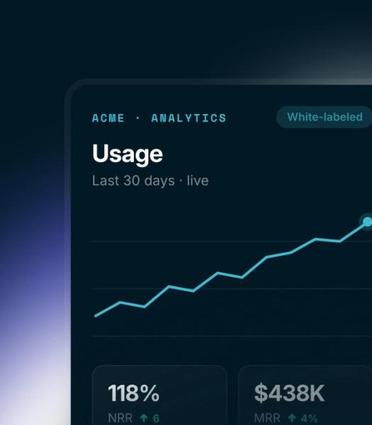 UI 