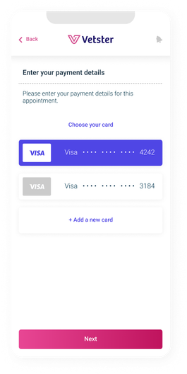 Mockup for payment