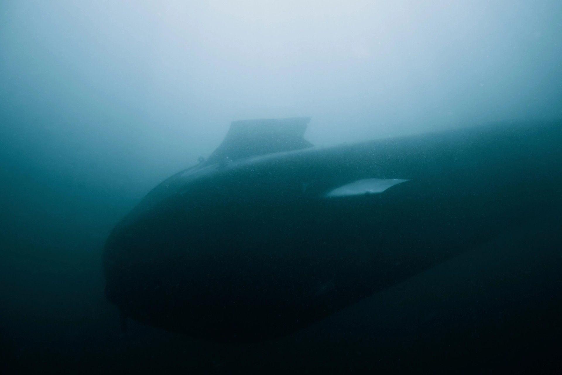 Dive-XL (Ghost Shark) — image 2