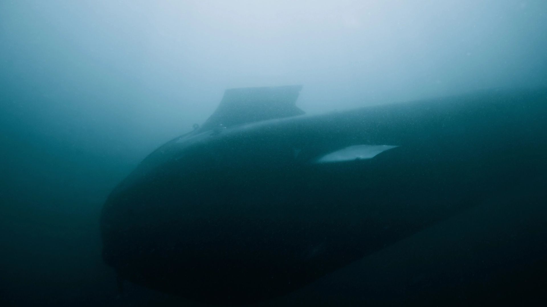 Dive-XL (Ghost Shark) — image 2