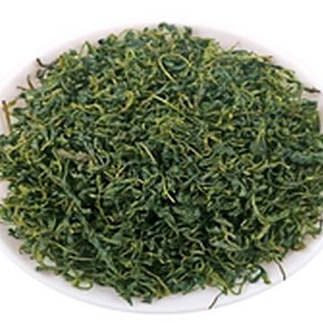 Молодые побеги Кудина