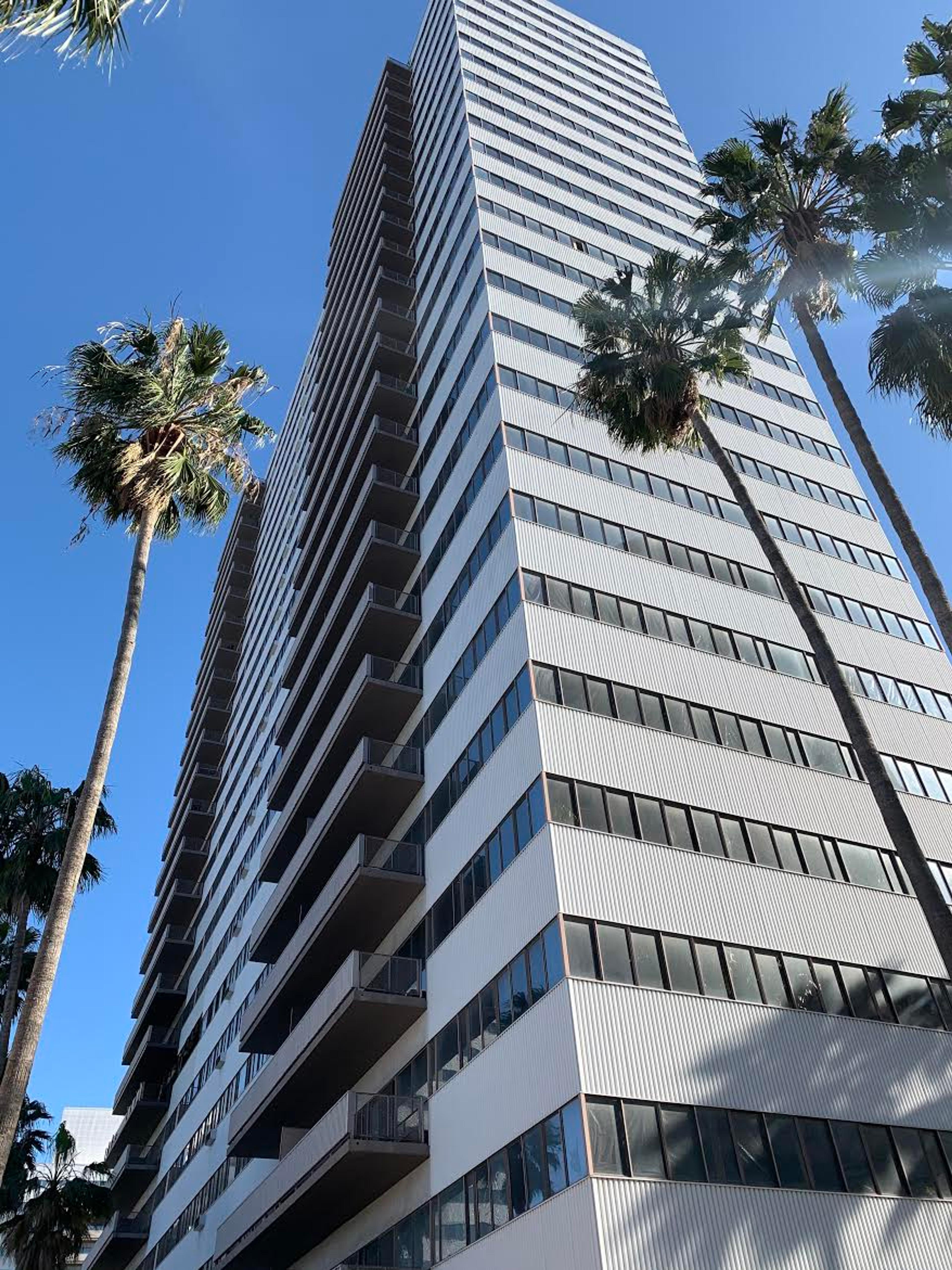 Picture of Barrington Plaza, a high-rise apartment complex in Los Angeles, against a blue sky and flanked with tall palm trees.