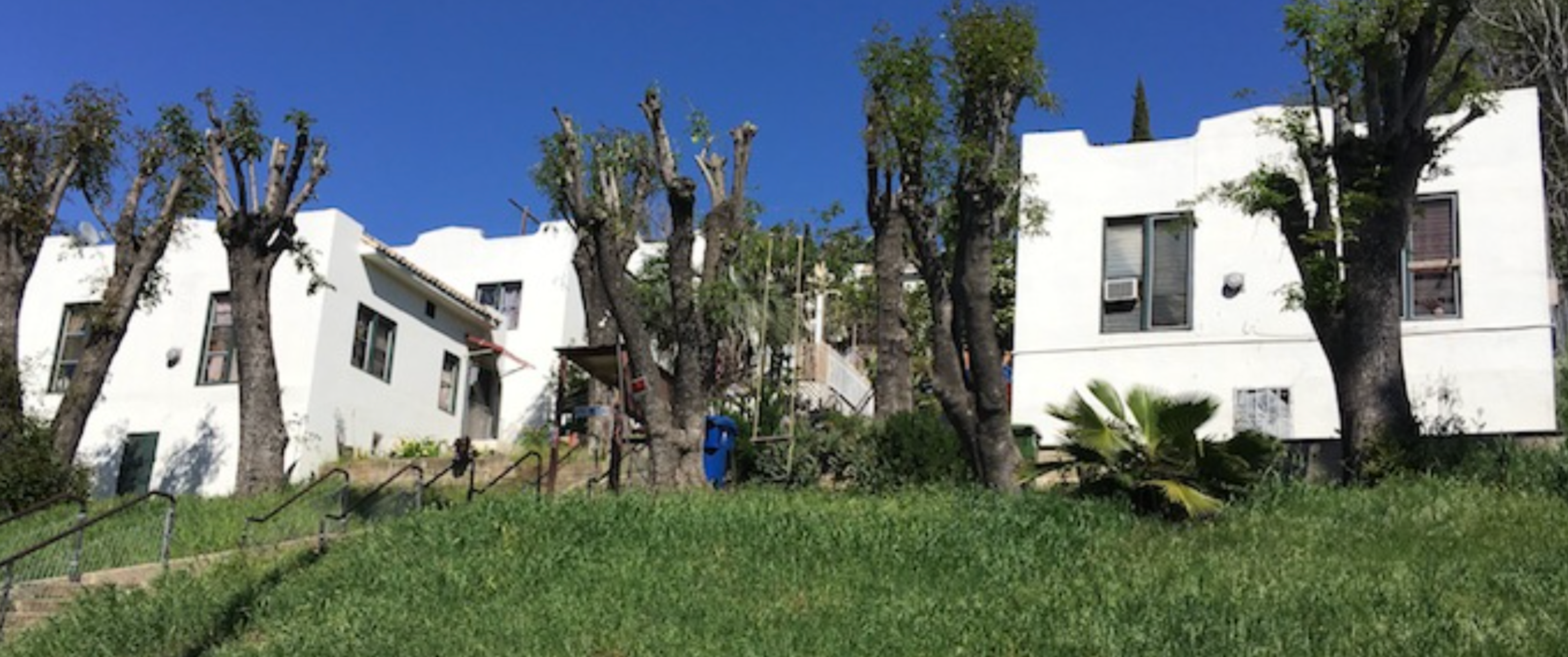 Photograph of the Stires Staircase Bungalow Court, ten white Spanish-style bungalows flanking a staircase. This was taken before demolition but after the mature trees had most of their branches cut down.