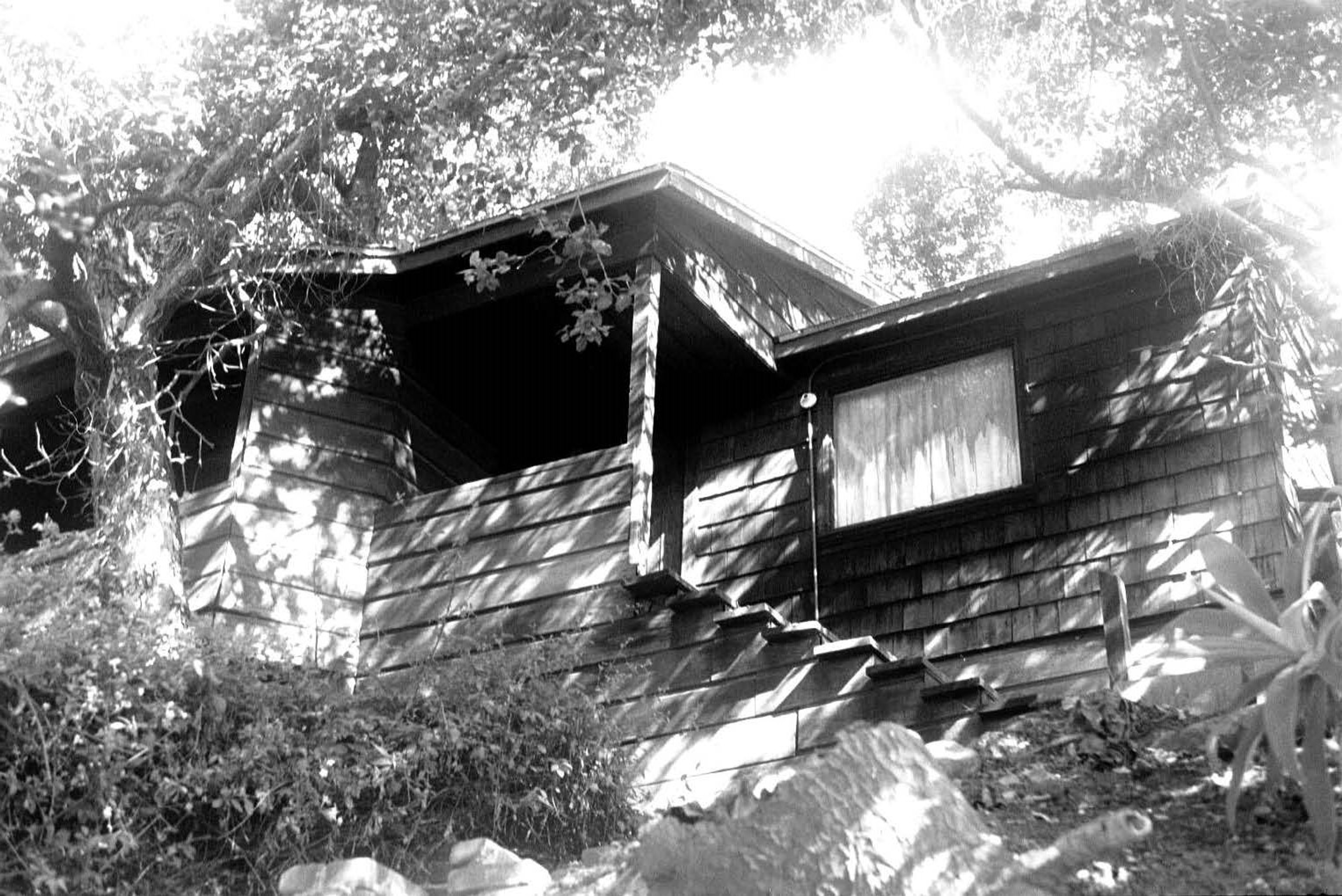 Paul Landacre's rustic cabin, perched on a hill in Echo Park.