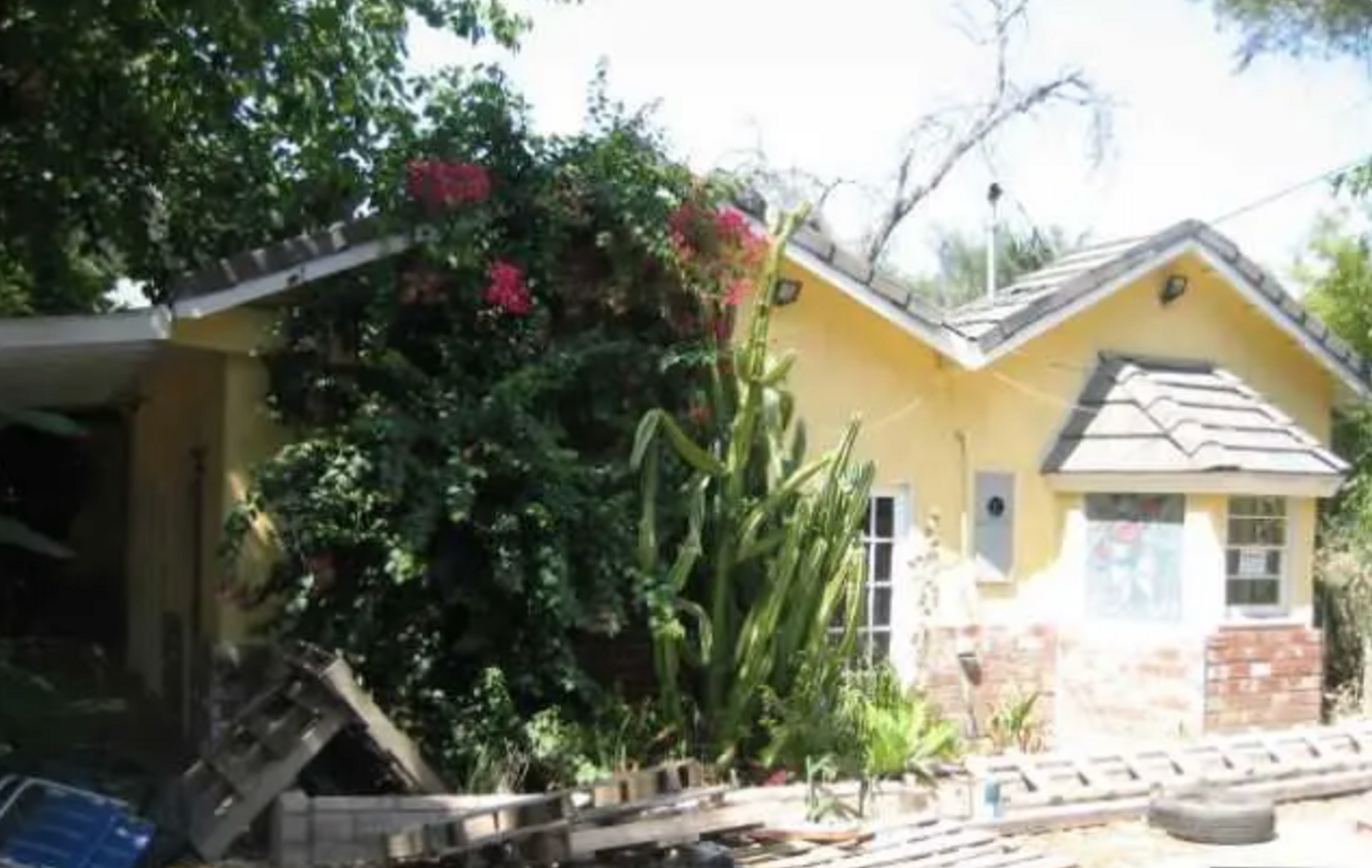 A yellow ranch house with overgrown plants and debris in the yard.