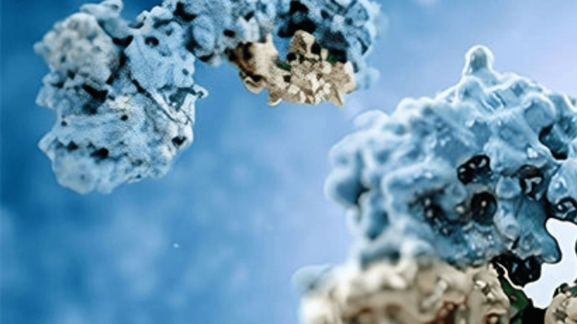 Learn how allergen immunotherapy can improve allergic disease care through patient selection, adherence strategies and personalized protocols.
