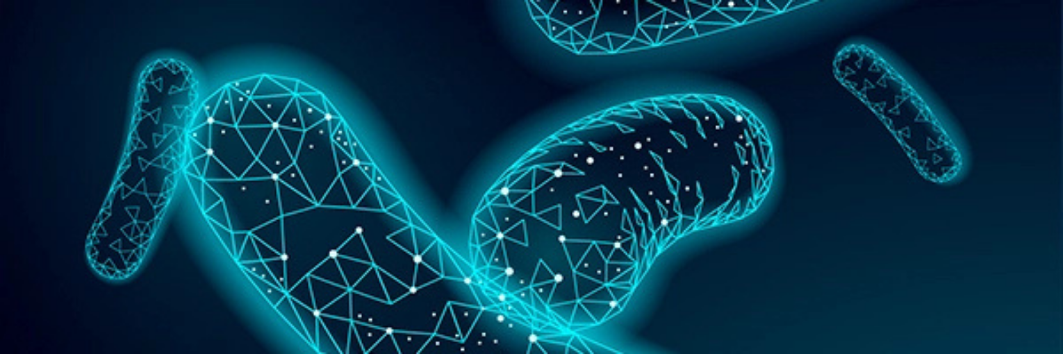 Microbiota channel