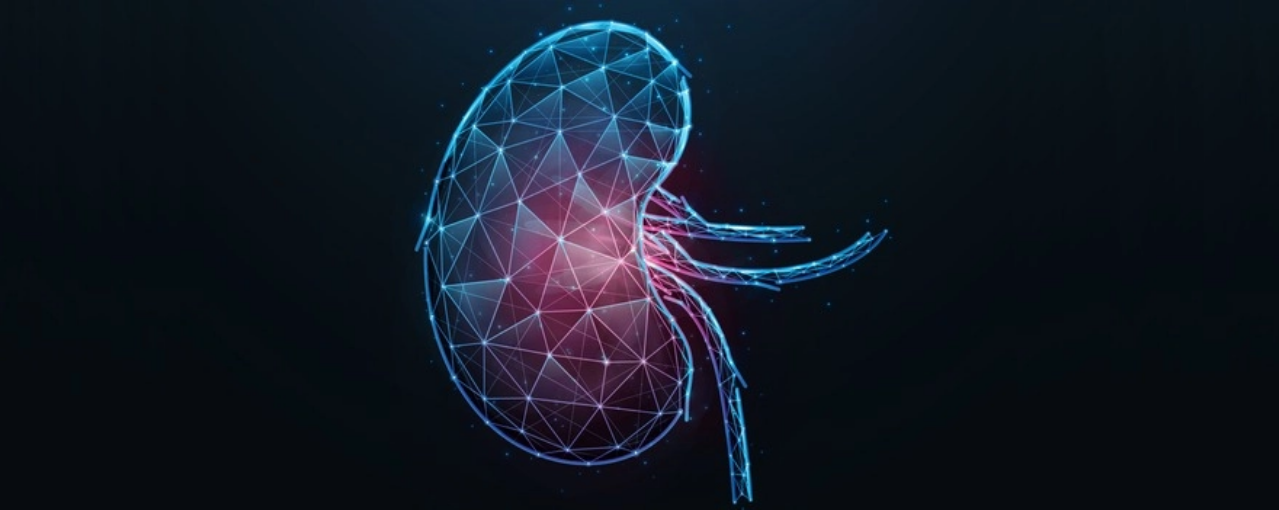 Caso de éxito Cáncer Renal