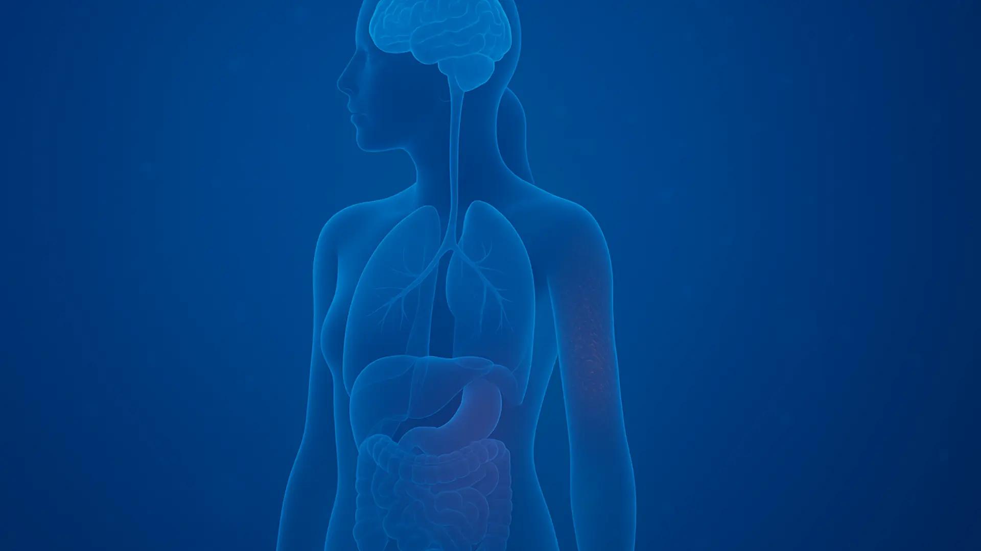 Gut microbiota is more than digestion. It shapes brain health, skin balance, immunity, and hormones. Understanding its systemic role is essential for modern medicine.