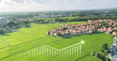 Crop Yield Prediction Using AI & Machine Learning
