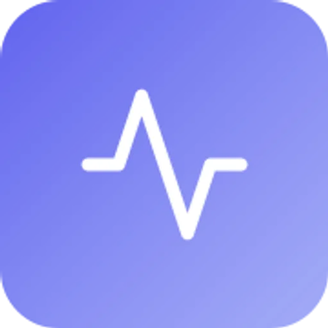 AIOSEO Audit