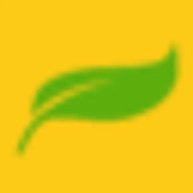 LeafAid AI