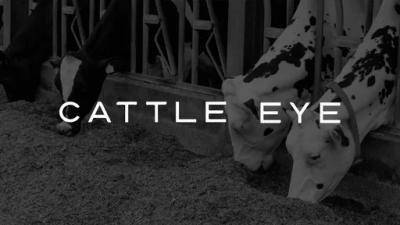 CattleEye