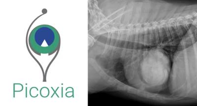Picoxia