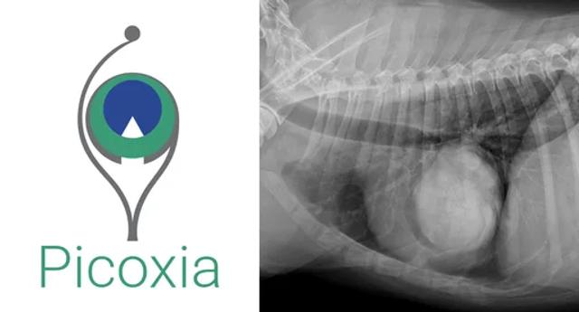 Picoxia